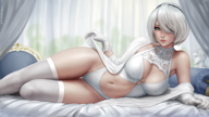 Nier (2b Negligee)